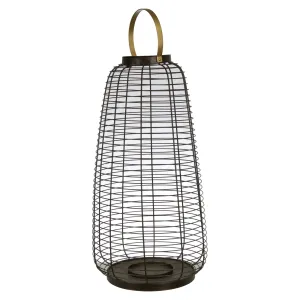 24" Metal Wire Cage Hurricane,Black