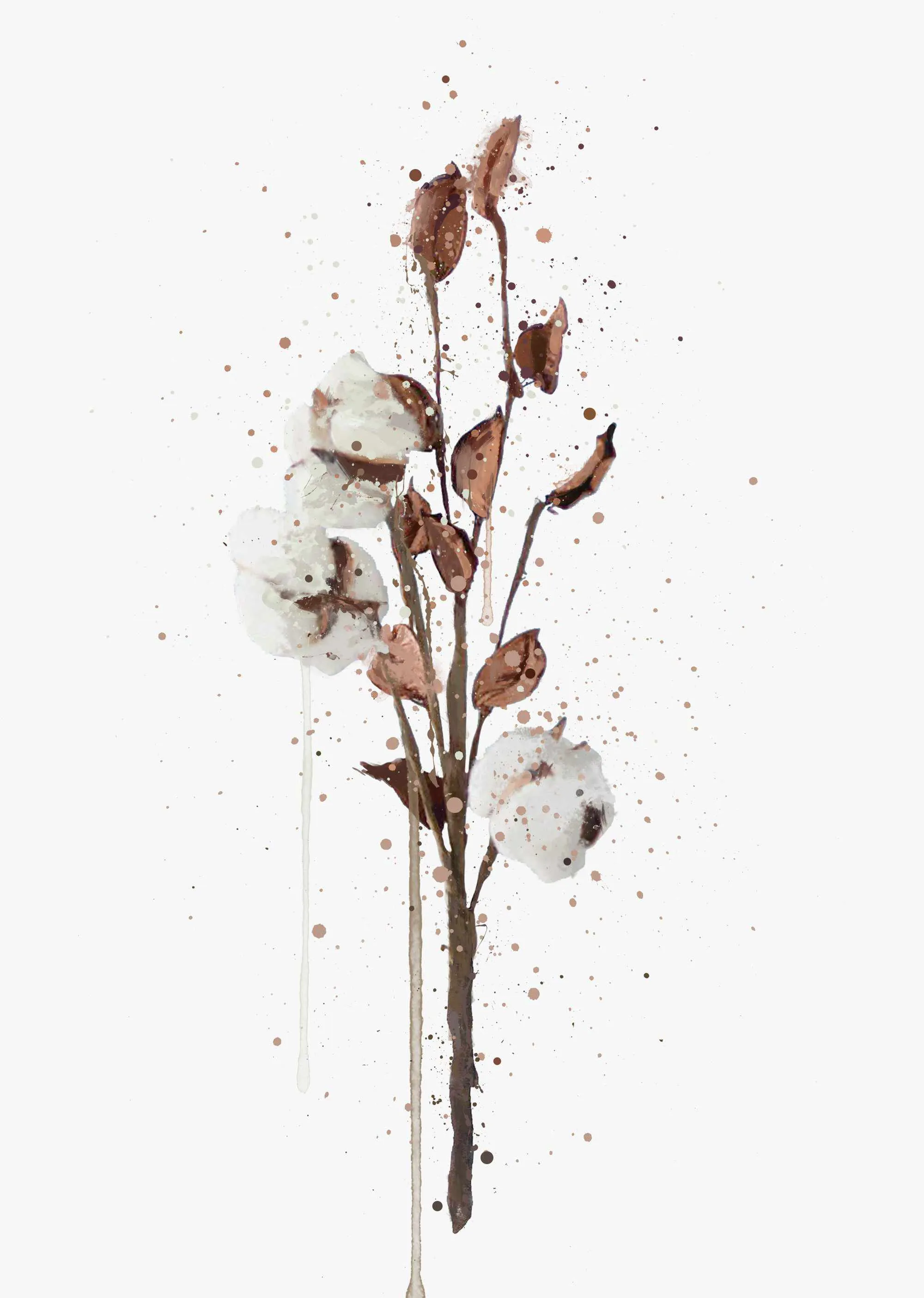 Botanical Wall Art Print 'Cotton' - Plant Prints, Botanical Art Prints and Botanical Illustrations