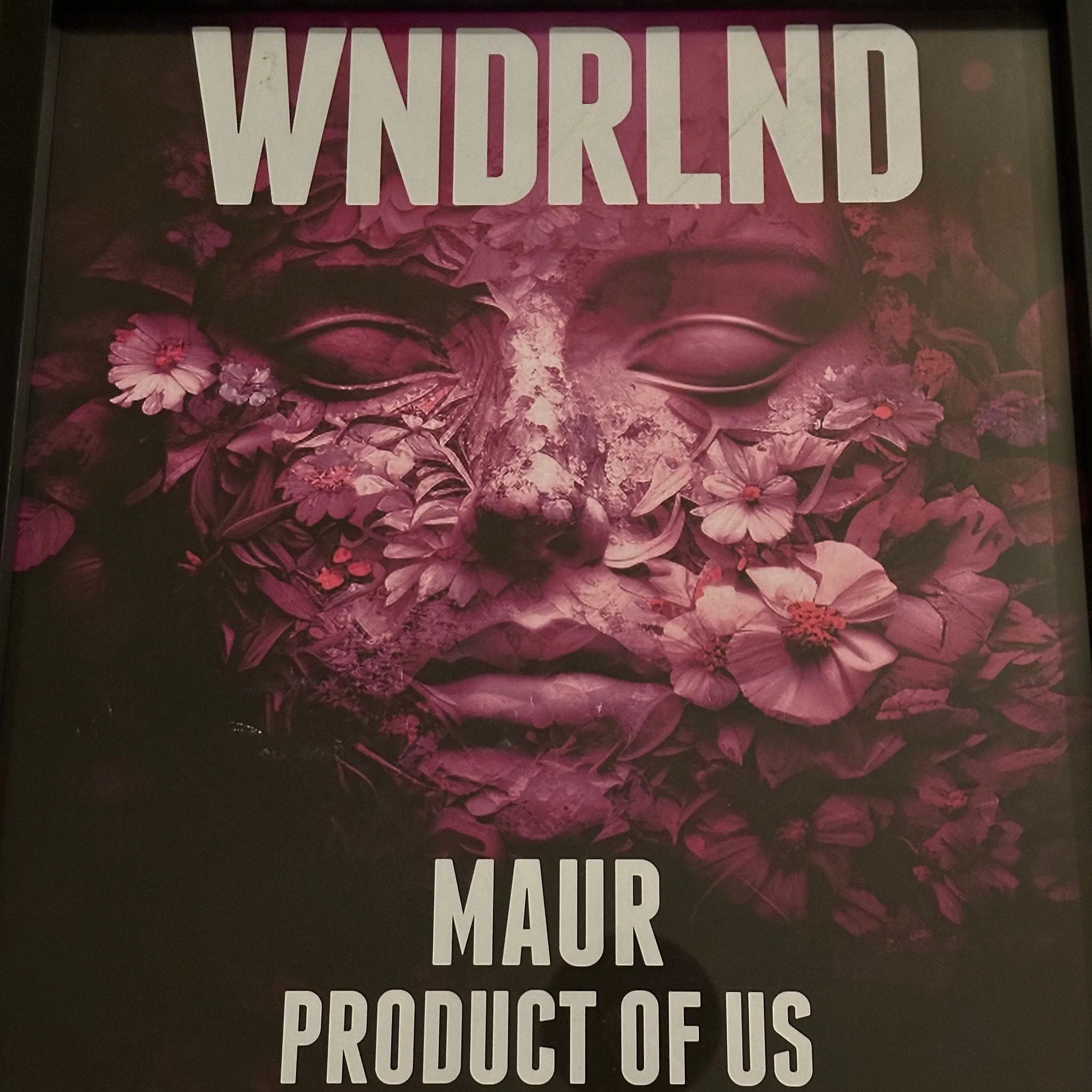 Eden ~ Genuine Official WNDRLND Ibiza Framed Dj Artwork | Hi Ibiza | A3 Luxury Black Frame