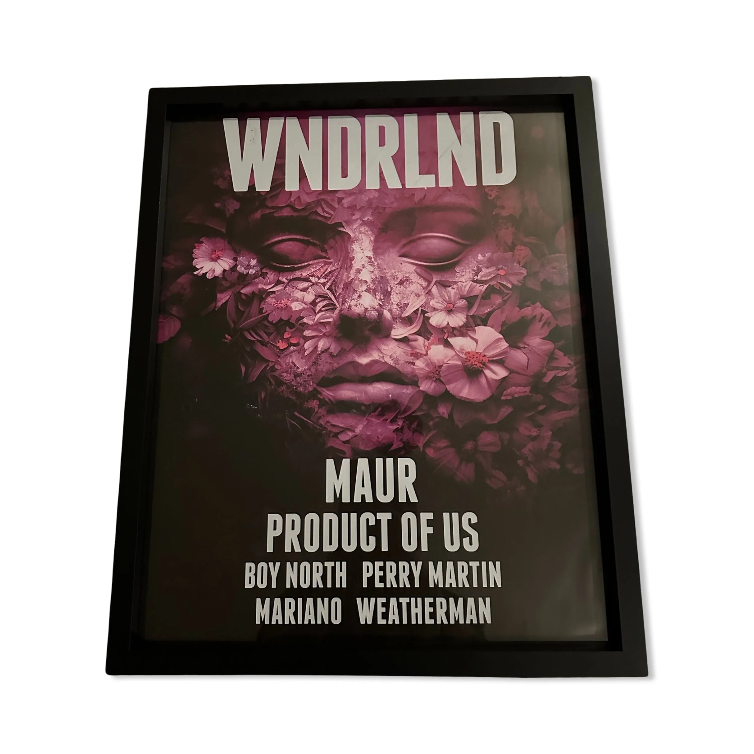 Eden ~ Genuine Official WNDRLND Ibiza Framed Dj Artwork | Hi Ibiza | A3 Luxury Black Frame