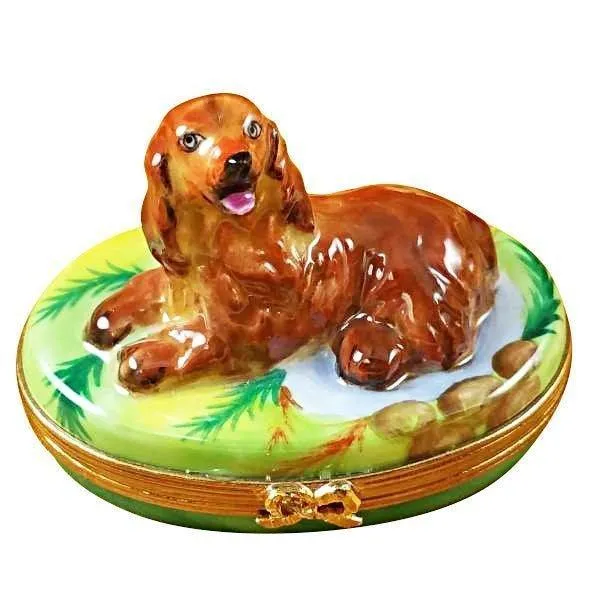 Irish Setter limoges box