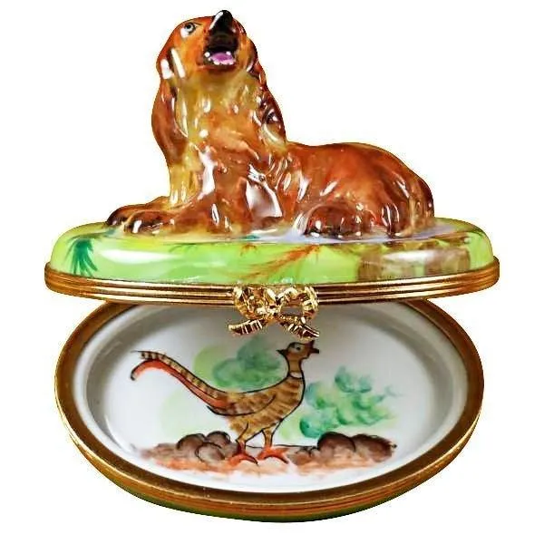 Irish Setter limoges box