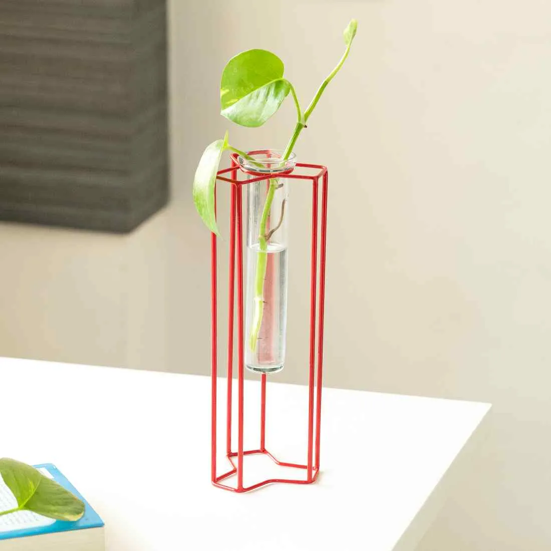 Modern Glass Garden' Test Tube Table Planter/Vase (25.4 cm | Red)