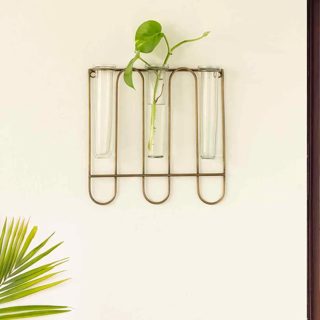 Modern Glass Garden' Test Tube Wall Planter/Vases (25.4 cm | Golden)