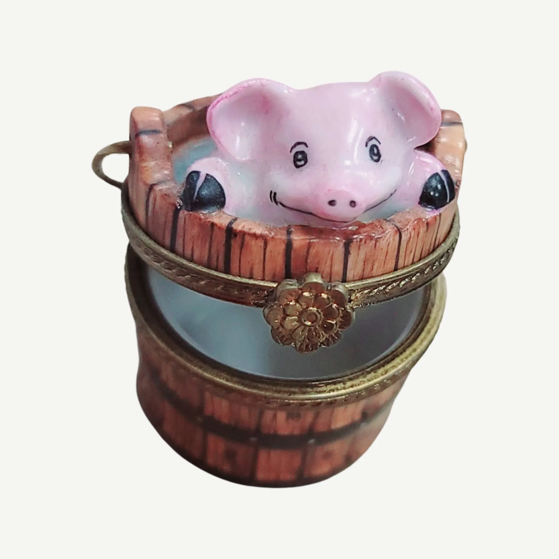 Pig in Wash Bucket