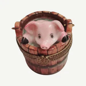 Pig in Wash Bucket