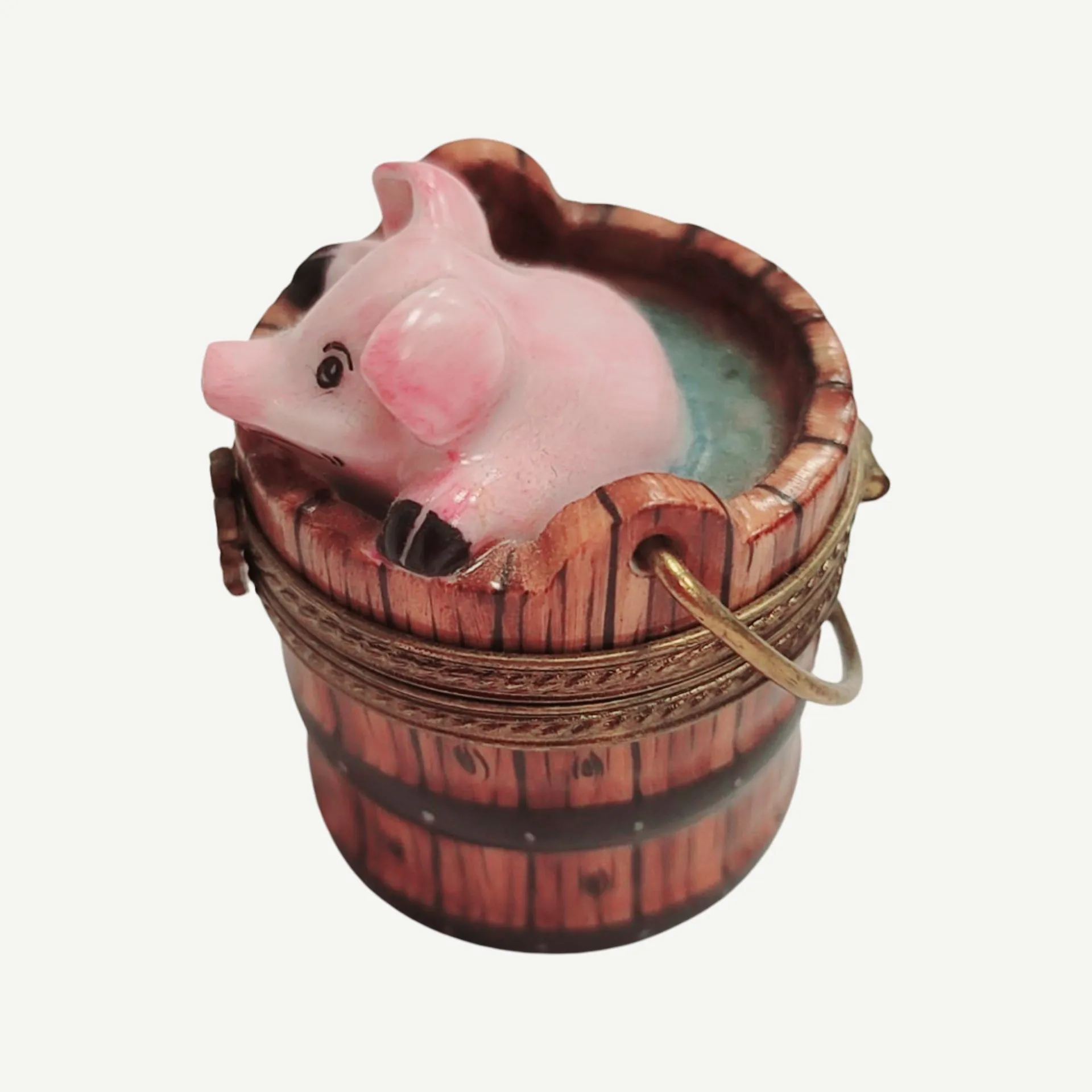 Pig in Wash Bucket