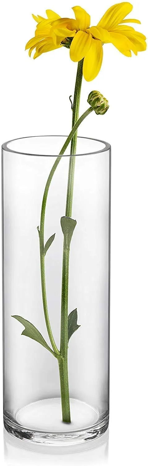 Rishabh Home Decoration Tall Cylinder Glass Flora and Table vase for Wedding Decor and Home Decor (12 inchi), Clear