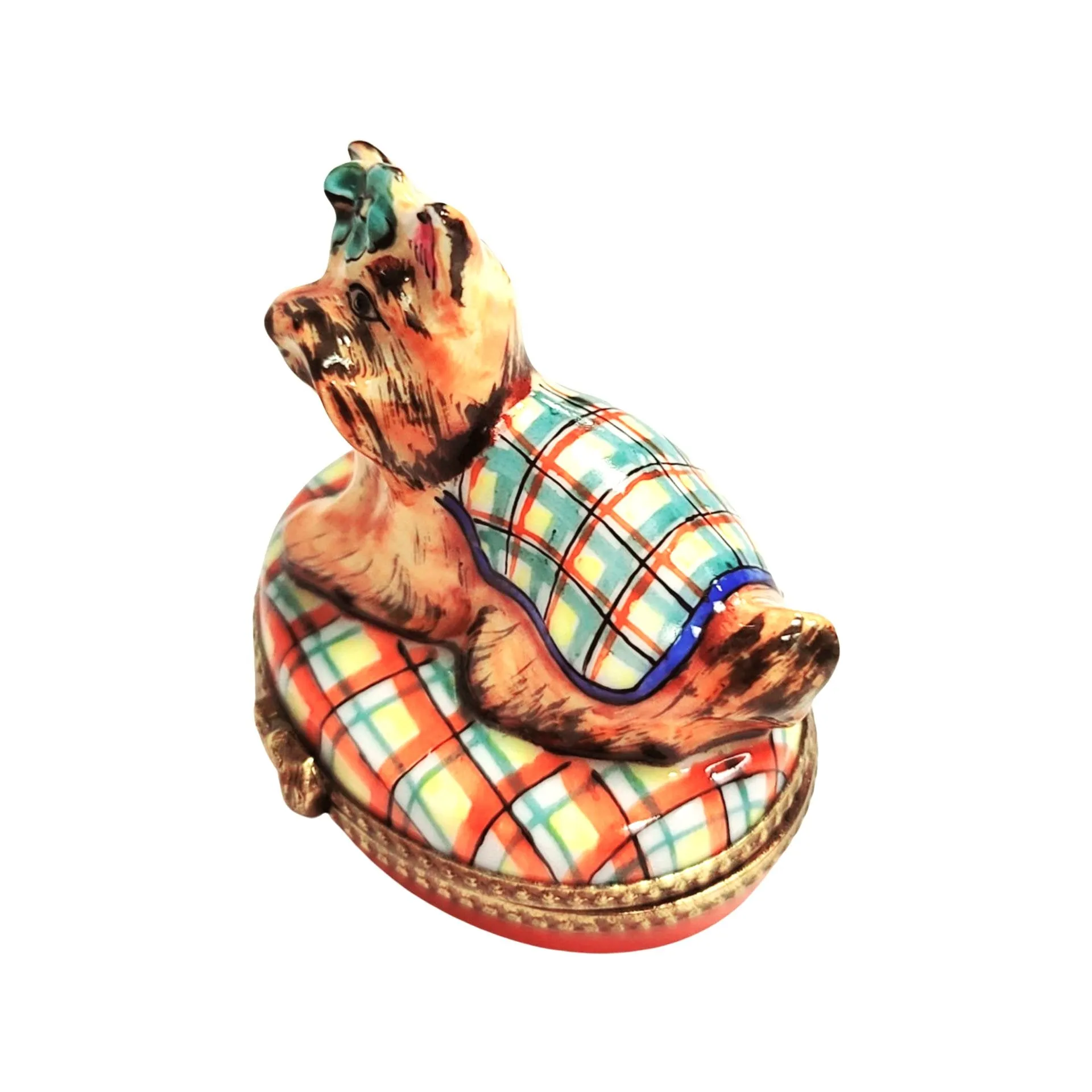 Terrier or Yorkshire Dog on Plaid